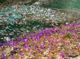 У Карпатах  - повний апокаліпсис: Річки та заповідне озеро Синевир завалені сміттям (фотофакти)