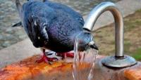 Україну атакує нова хвиля спеки: Синоптики уточнили прогноз погоди на початок серпня