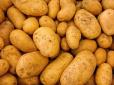 З архіву ПУ. Картопля небезпечна для здоров'я: Експерти розповіли, від якої краще відмовитися назавжди